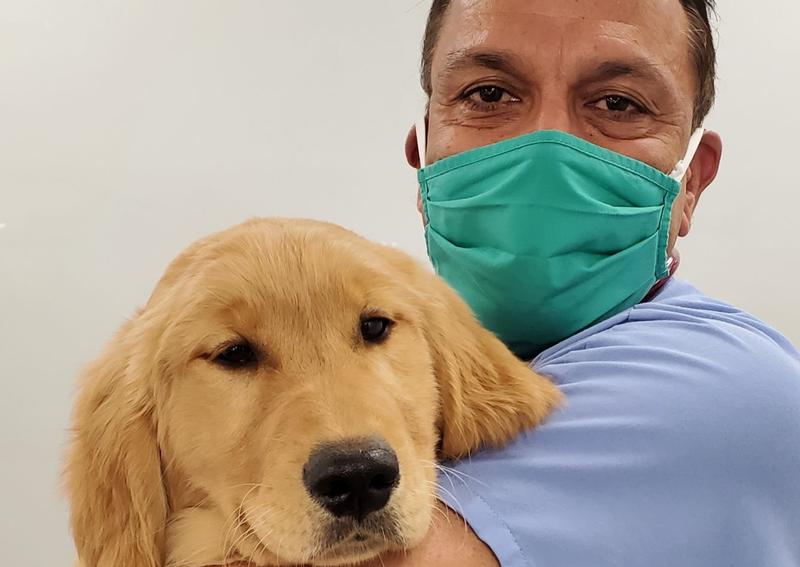 Carousel Slide 10: Columbus Dog Veterinarian